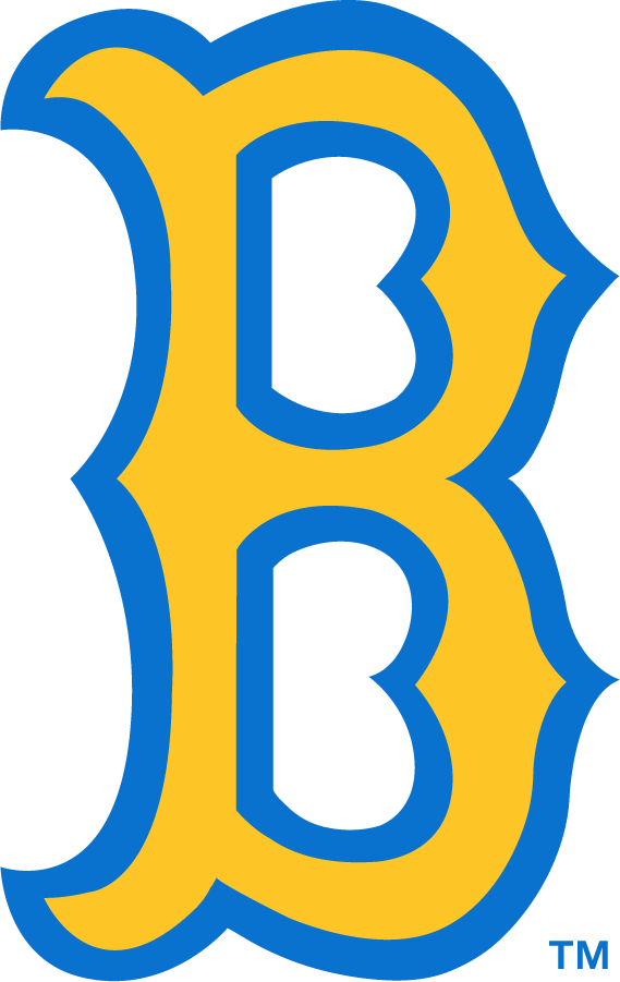 UCLA Bruins 1972-2017 Alternate Logo v3 t shirts iron on transfers